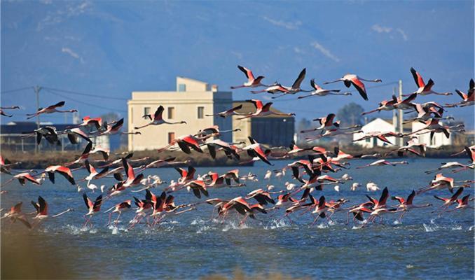 Lo Trabucador Casa Nueva En El Corazon Del Delta Villa Poblenou del Delta Dış mekan fotoğraf